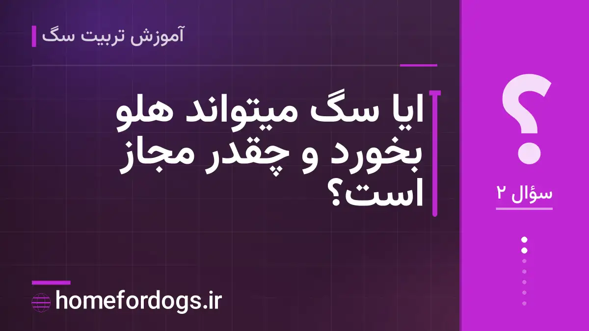 ایا سگ میتواند هلو بخورد و چقدر مجاز است؟
