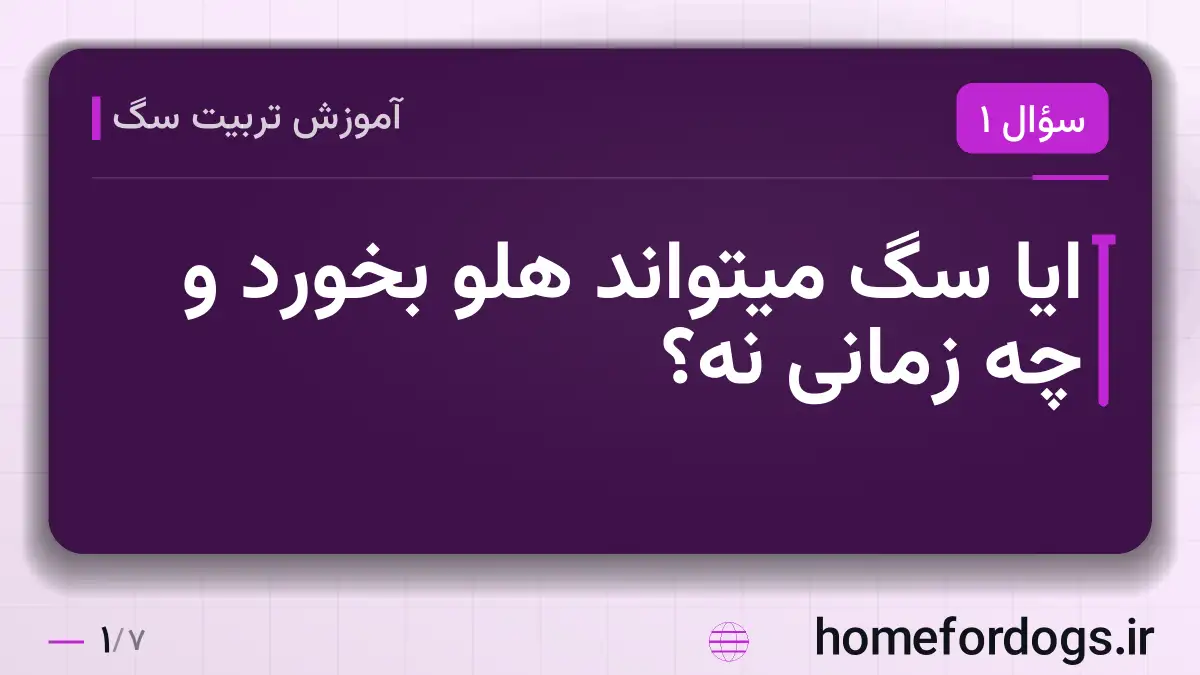 ایا سگ میتواند هلو بخورد و چه زمانی نه؟