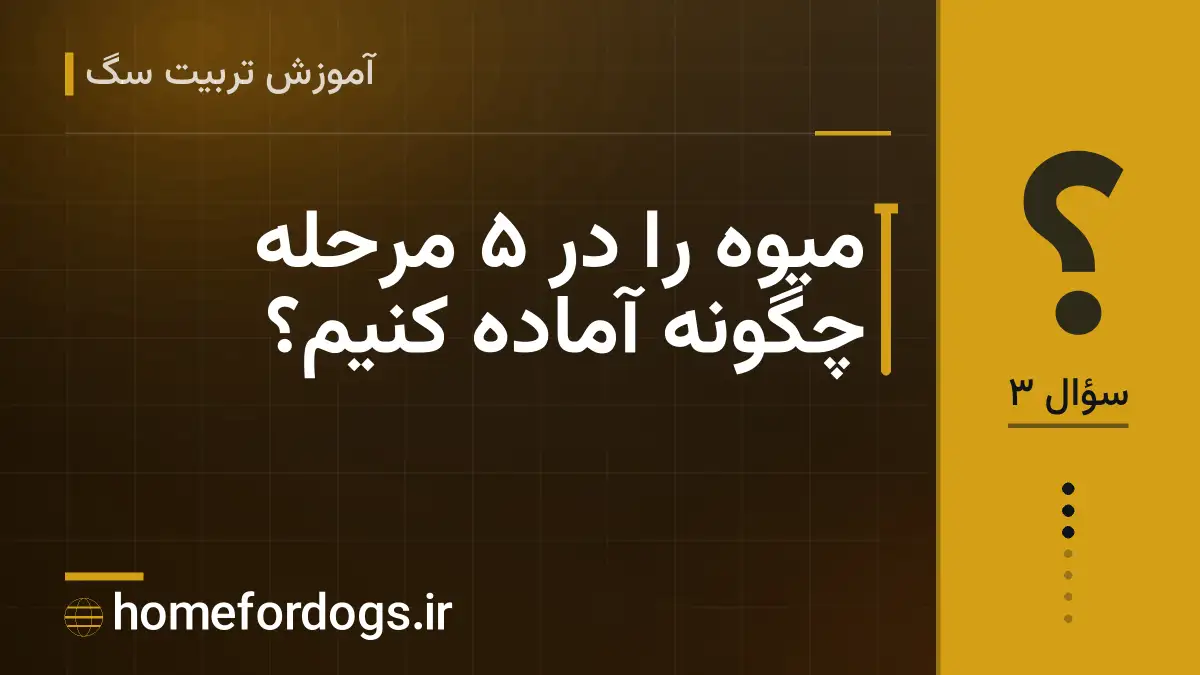 میوه را در ۵ مرحله چگونه آماده کنیم؟