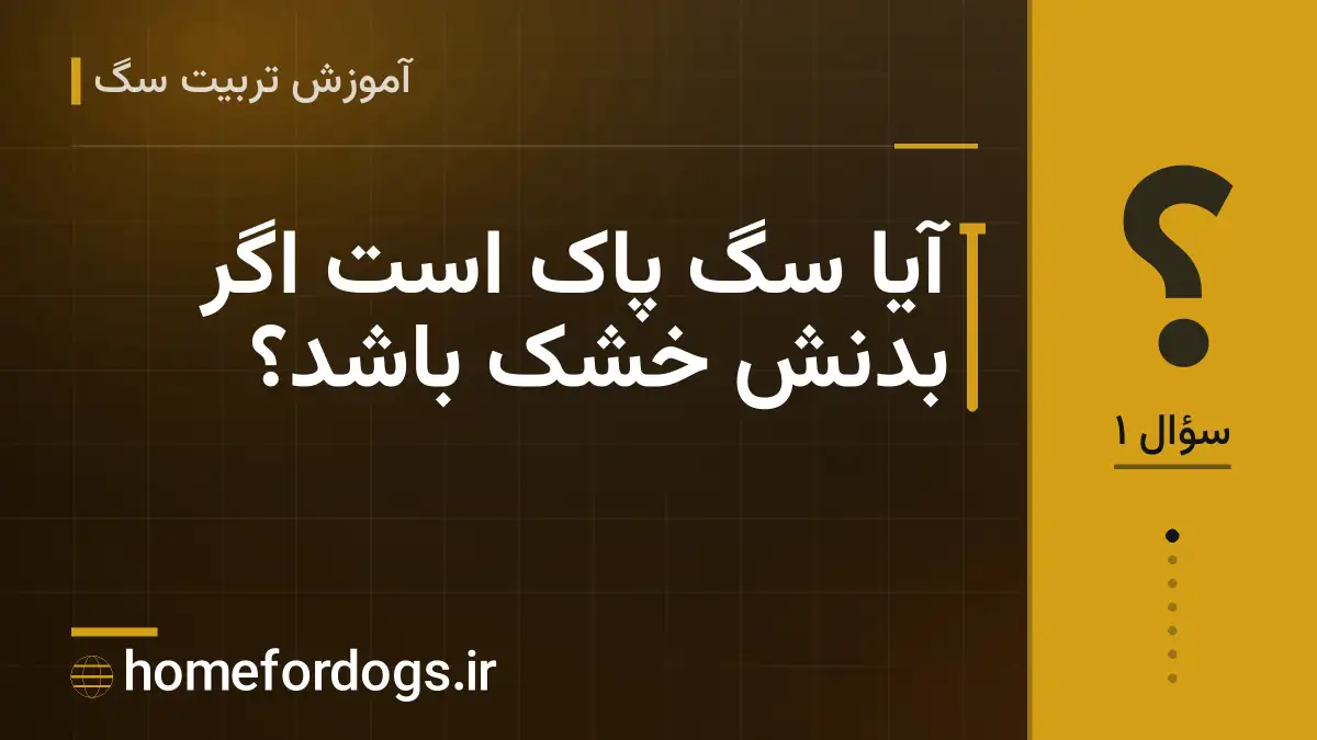 آیا سگ پاک است اگر بدنش خشک باشد؟