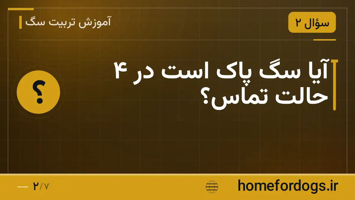 آیا سگ پاک است در ۴ حالت تماس؟