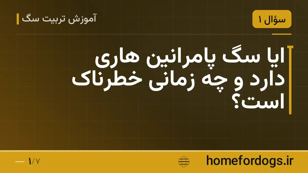 ایا سگ پامرانین هاری دارد و چه زمانی خطرناک است؟
