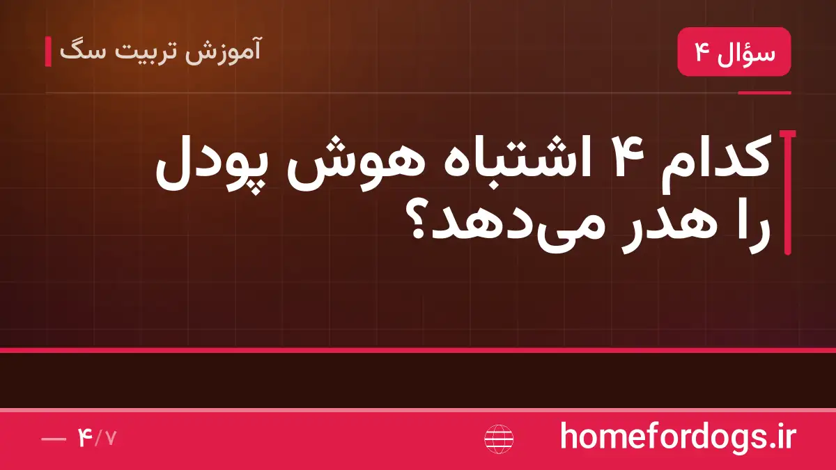 کدام ۴ اشتباه هوش پودل را هدر می‌دهد؟
