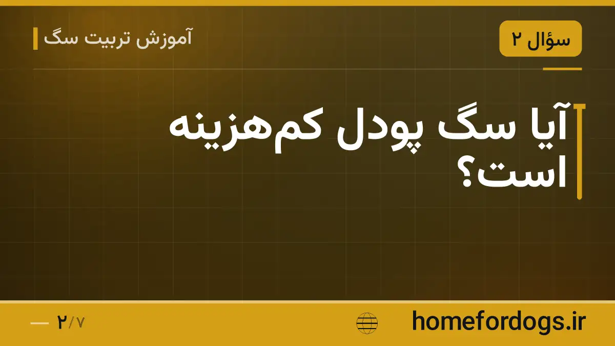 آیا سگ پودل کم‌هزینه است؟