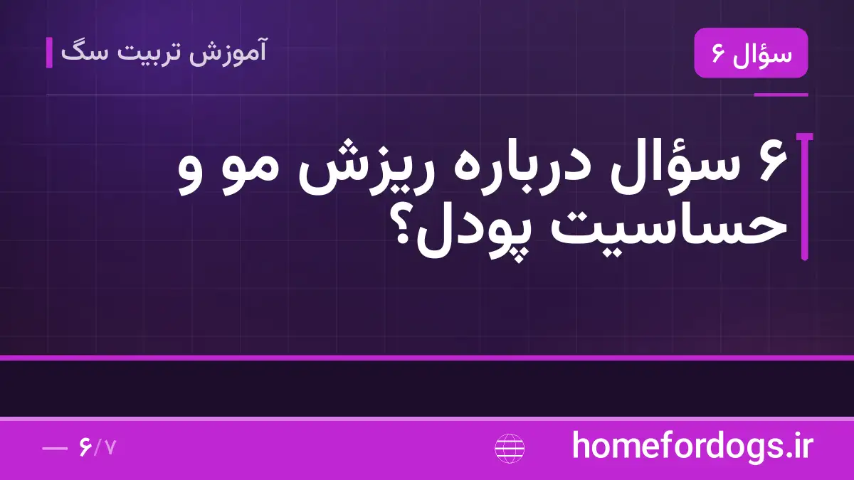 ۶ سؤال درباره ریزش مو و حساسیت پودل؟