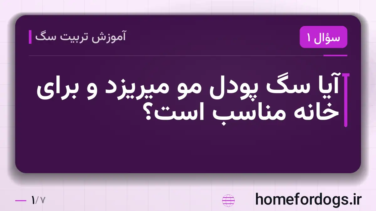 آیا سگ پودل مو میریزد و برای خانه مناسب است؟