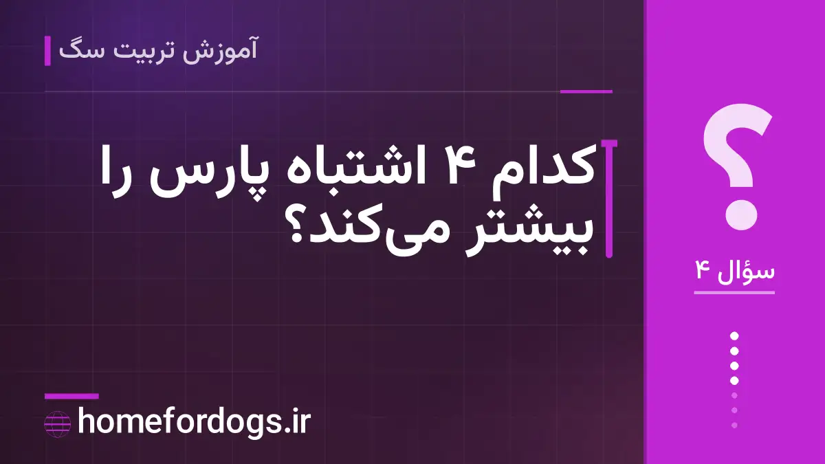 کدام ۴ اشتباه پارس را بیشتر می‌کند؟