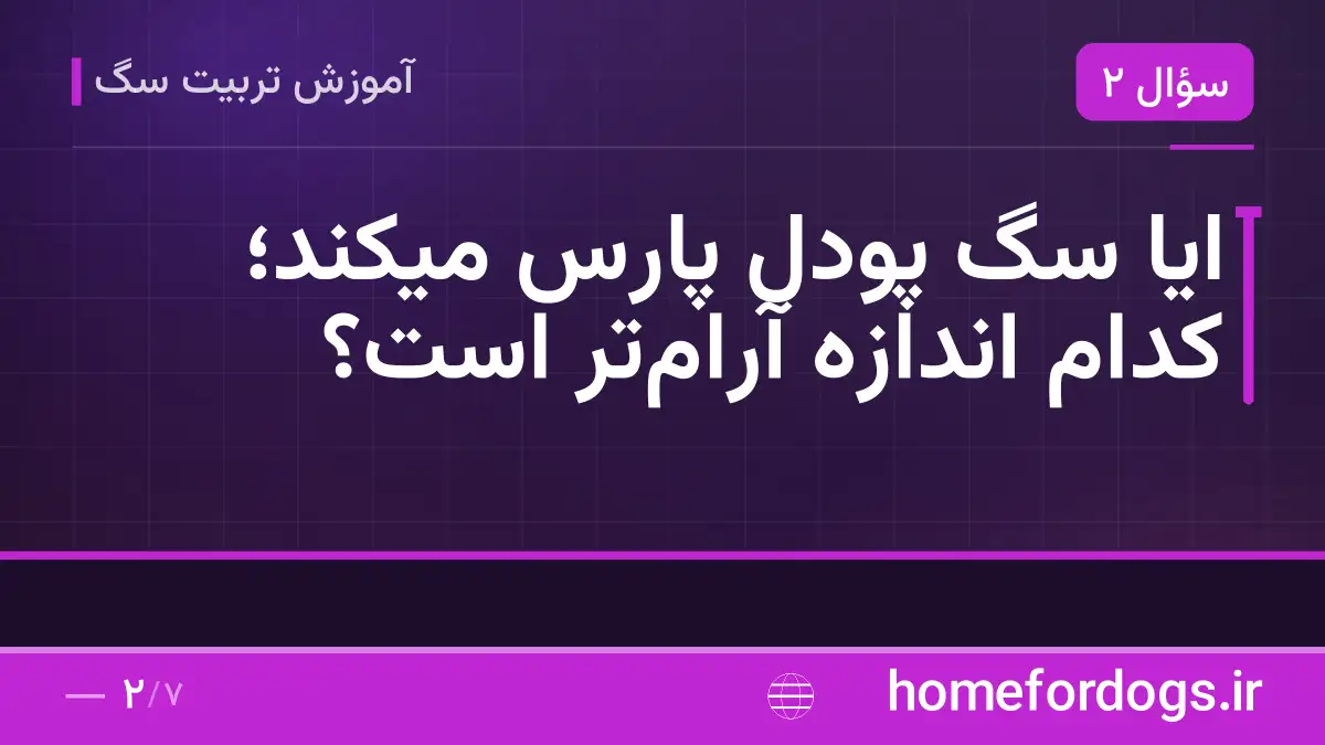 ایا سگ پودل پارس میکند؛ کدام اندازه آرام‌تر است؟