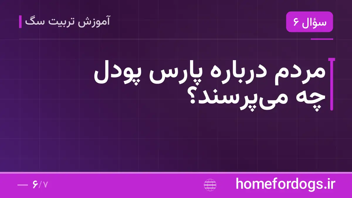 مردم درباره پارس پودل چه می‌پرسند؟