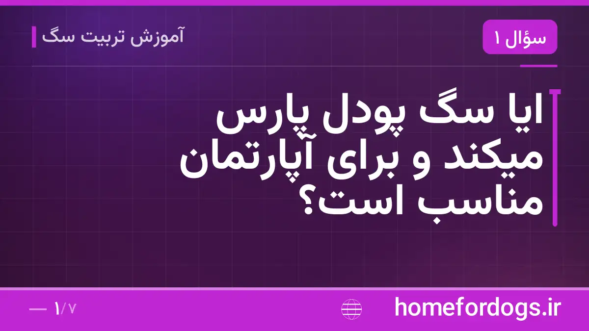 ایا سگ پودل پارس میکند و برای آپارتمان مناسب است؟