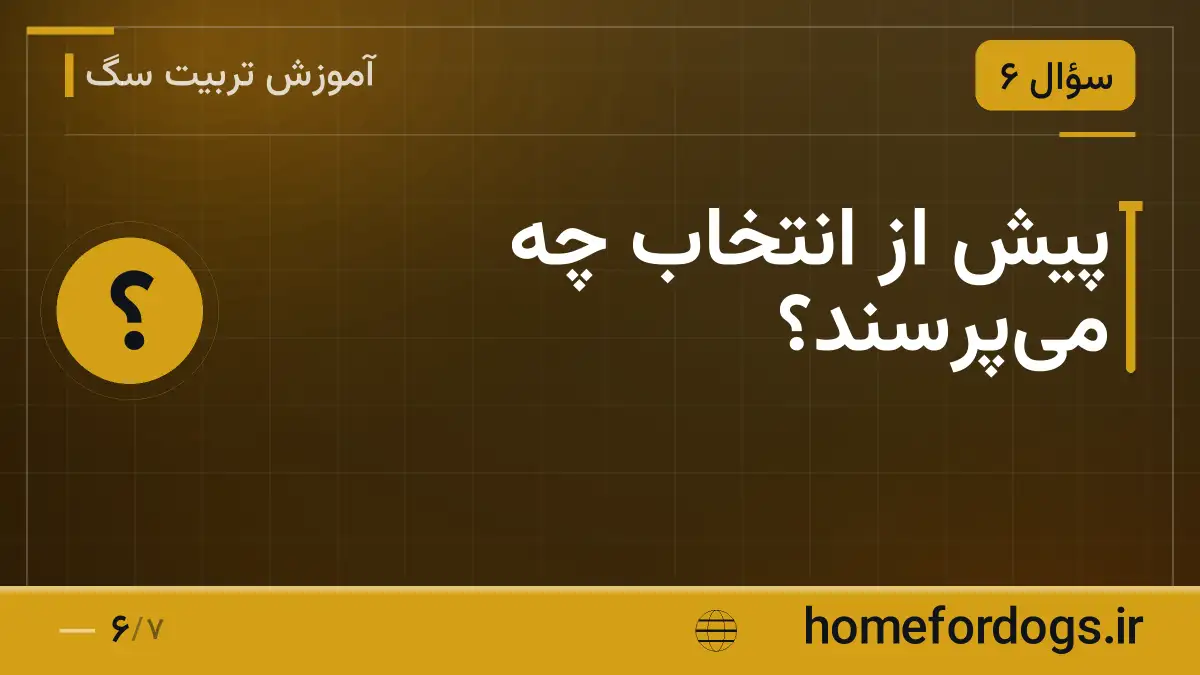 پیش از انتخاب چه می‌پرسند؟