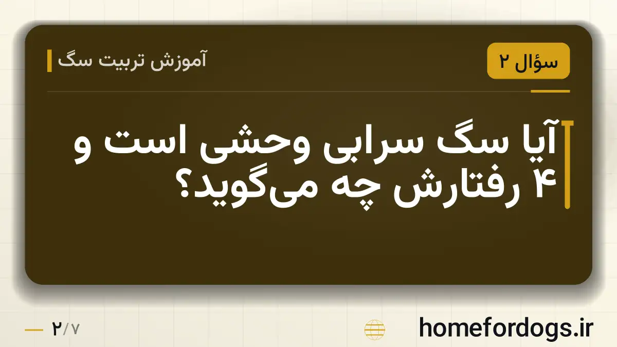 آیا سگ سرابی وحشی است و ۴ رفتارش چه می‌گوید؟