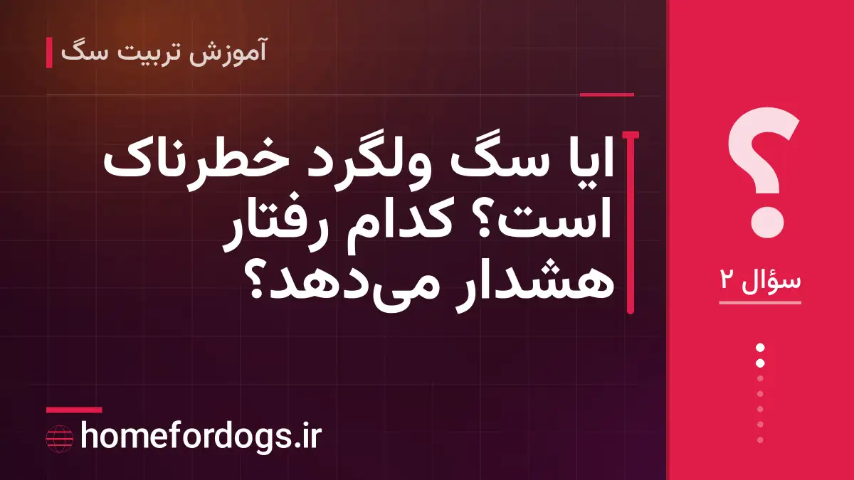 ایا سگ ولگرد خطرناک است؟ کدام رفتار هشدار می‌دهد؟