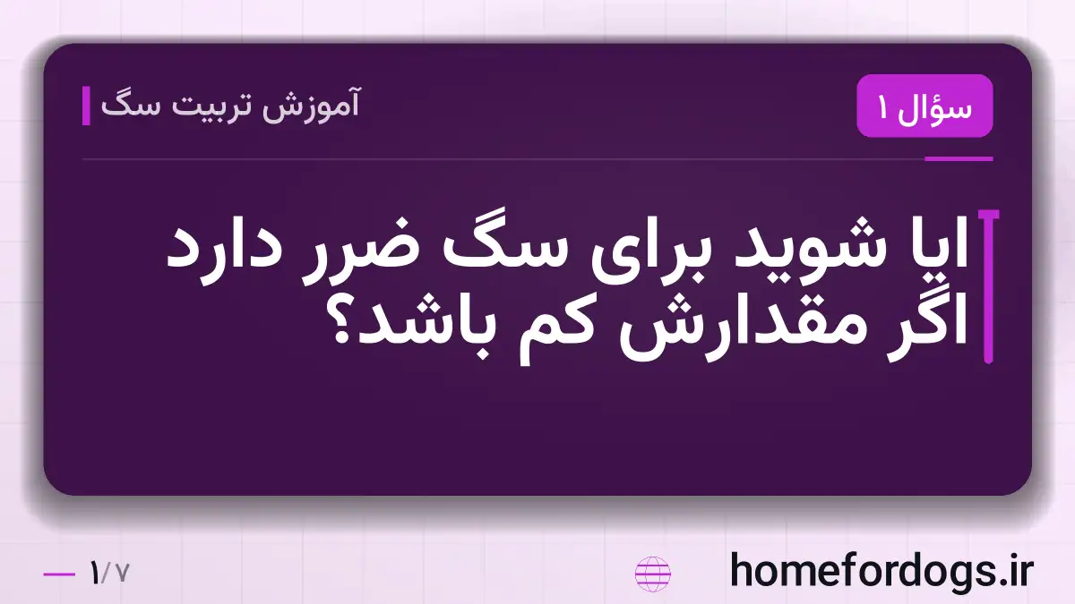 ایا شوید برای سگ ضرر دارد اگر مقدارش کم باشد؟
