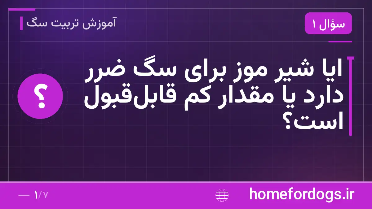 ایا شیر موز برای سگ ضرر دارد یا مقدار کم قابل‌قبول است؟