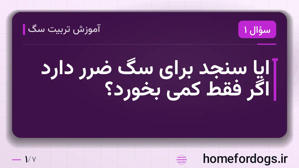 ایا سنجد برای سگ ضرر دارد اگر فقط کمی بخورد؟