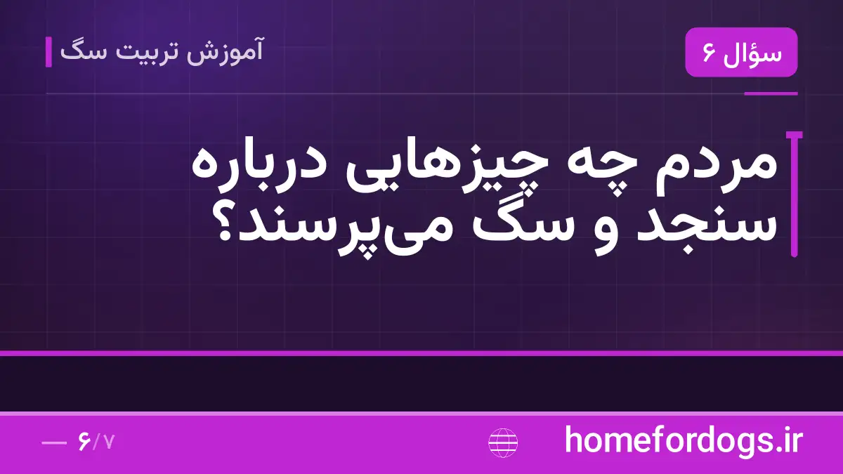 مردم چه چیزهایی درباره سنجد و سگ میپرسند؟
