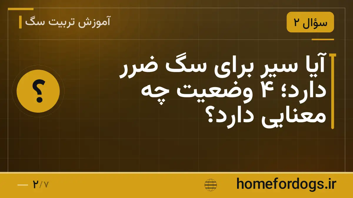 آیا سیر برای سگ ضرر دارد؛ ۴ وضعیت چه معنایی دارد؟