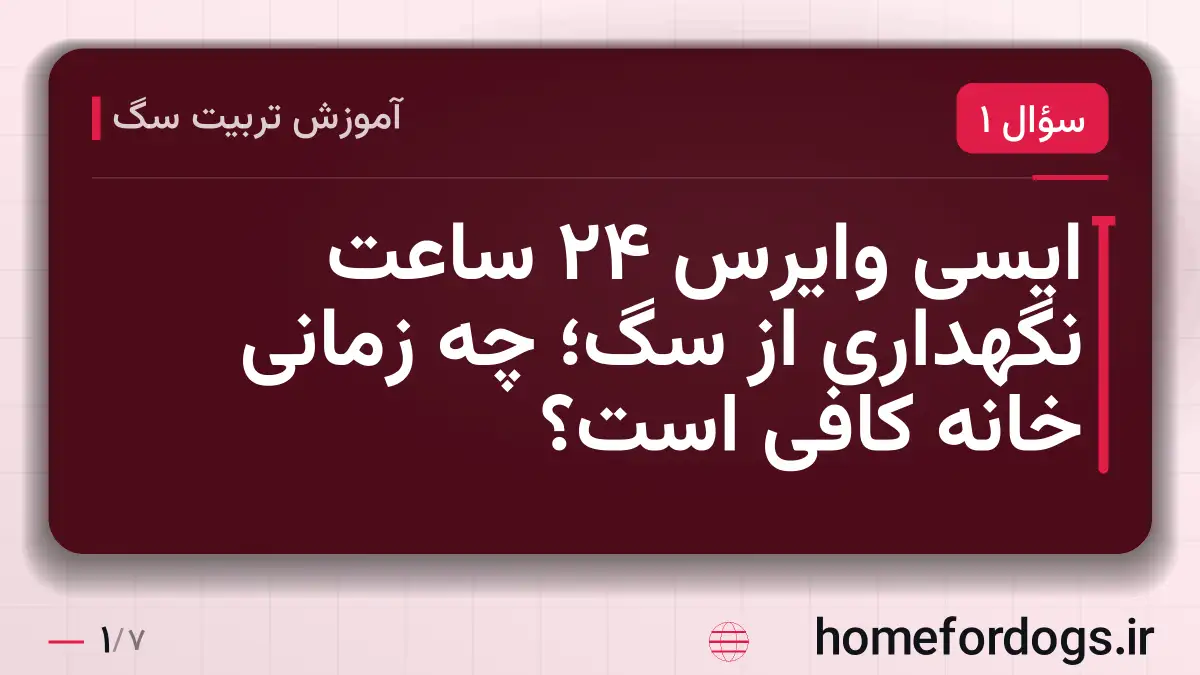 ایسی وایرس 24 ساعت نگهداری از سگ؛ چه زمانی خانه کافی است؟