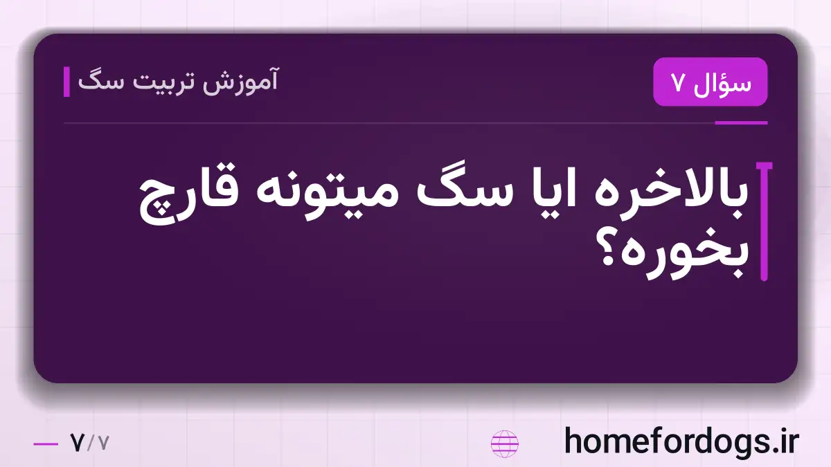 بالاخره ایا سگ میتونه قارچ بخوره؟