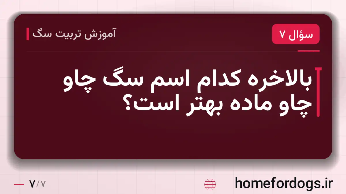 بالاخره کدام اسم سگ چاو چاو ماده بهتر است؟
