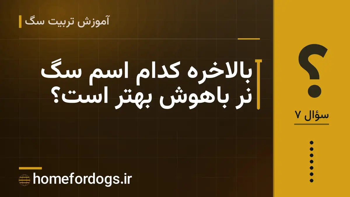 بالاخره کدام اسم سگ نر باهوش بهتر است؟