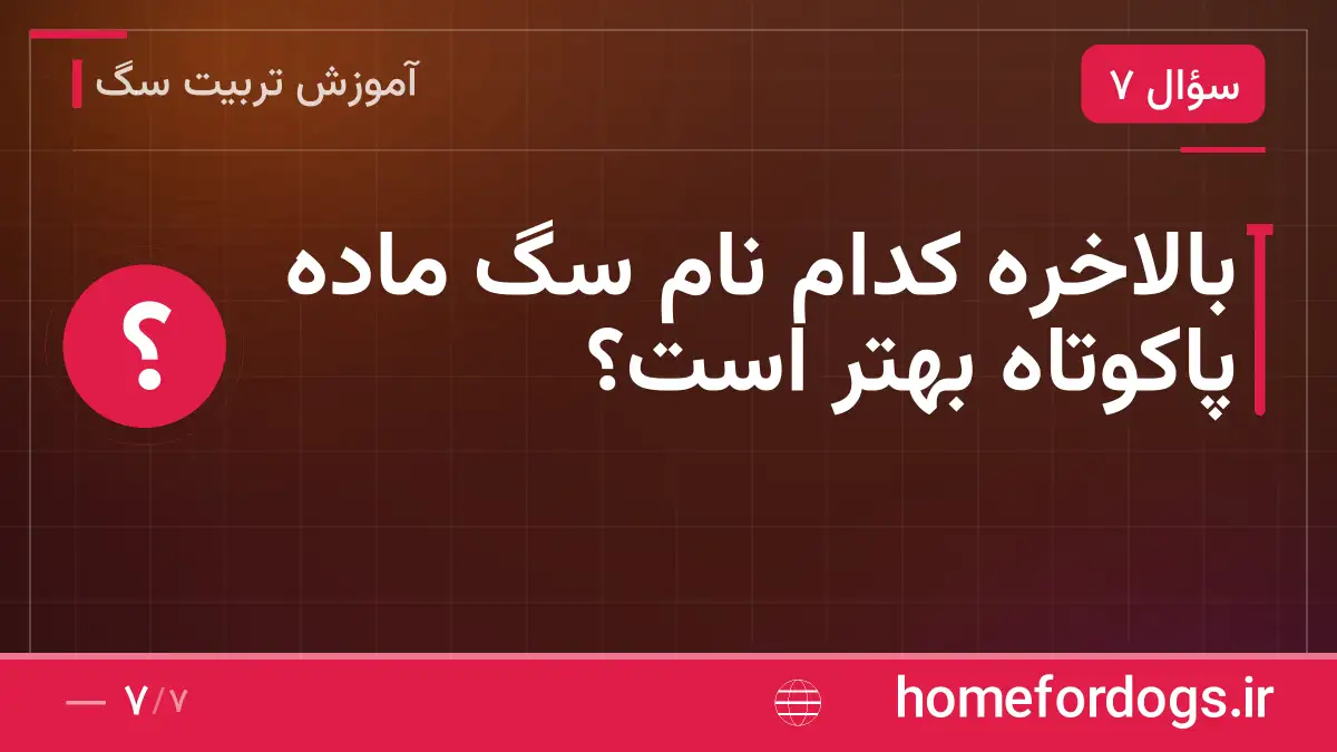 بالاخره کدام نام سگ ماده پاکوتاه بهتر است؟