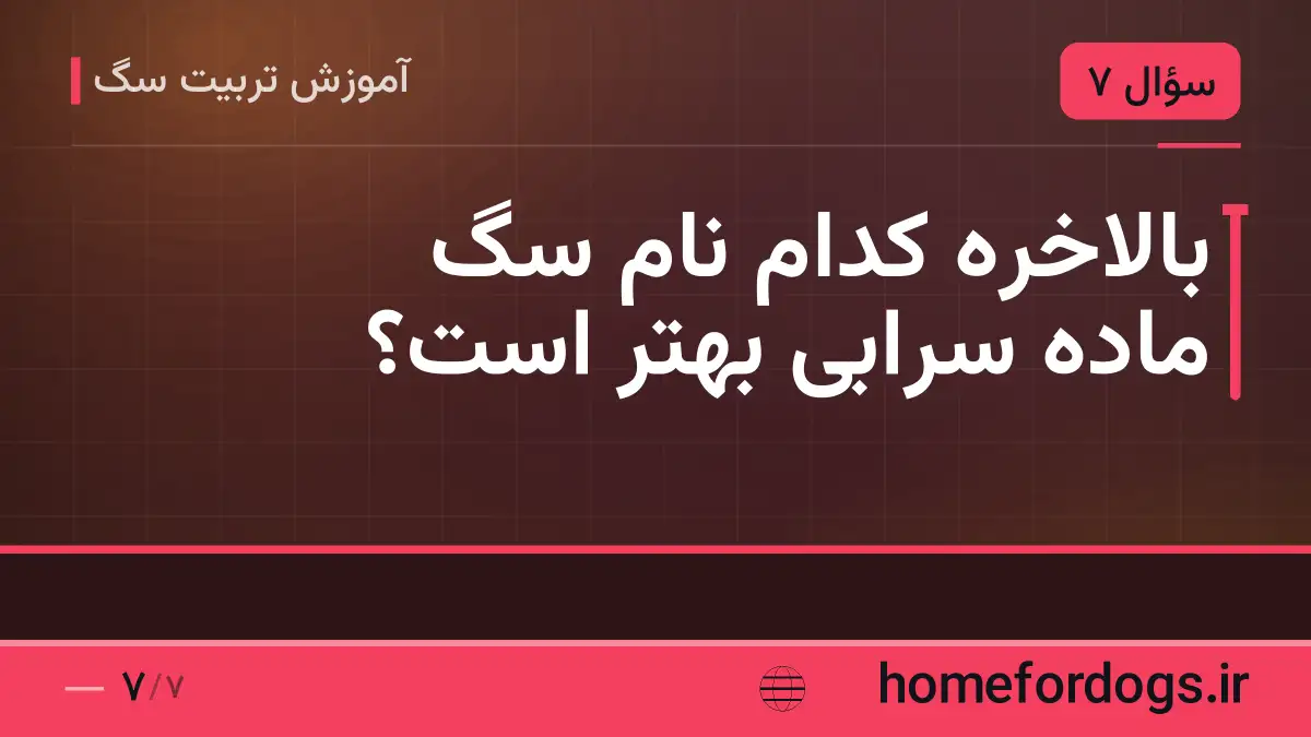 بالاخره کدام نام سگ ماده سرابی بهتر است؟