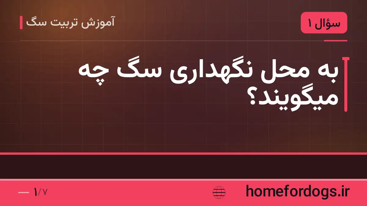 به محل نگهداری سگ چه میگویند؟