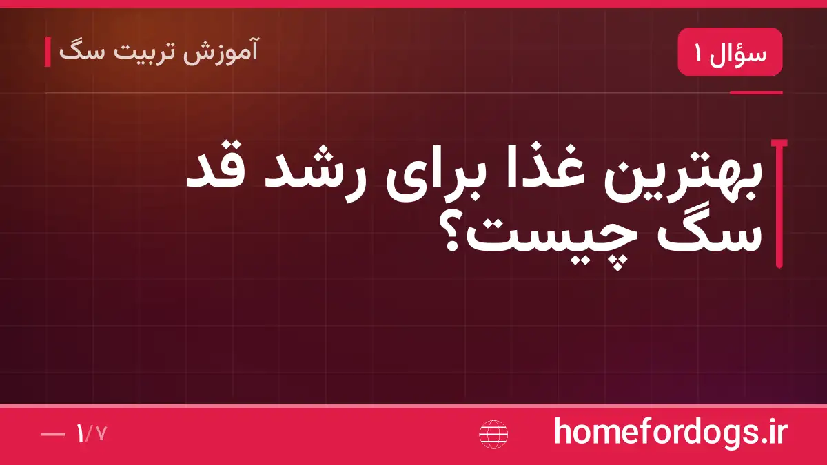 بهترین غذا برای رشد قد سگ چیست؟