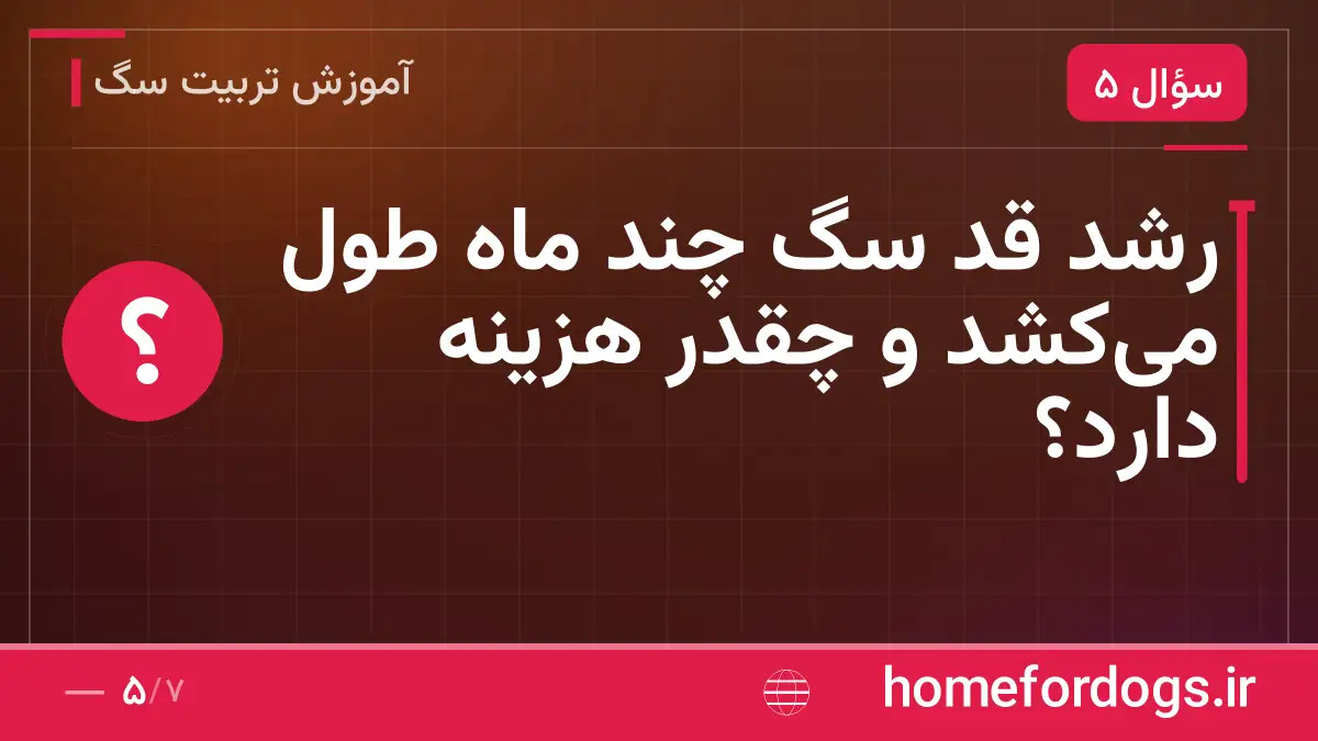 رشد قد سگ چند ماه طول می‌کشد و چقدر هزینه دارد؟