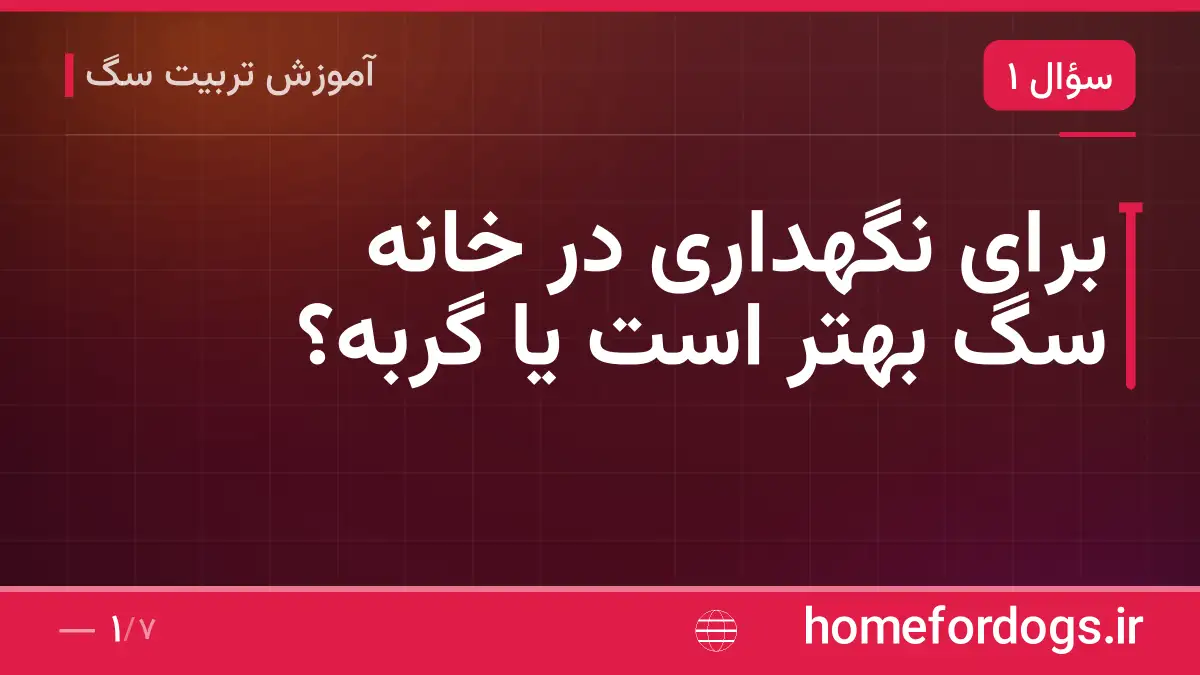 برای نگهداری در خانه سگ بهتر است یا گربه؟