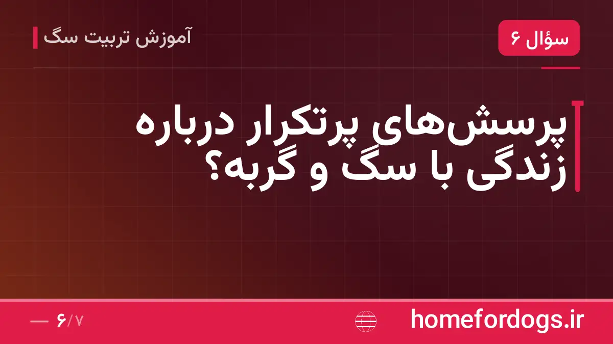 پرسش‌های پرتکرار درباره زندگی با سگ و گربه؟