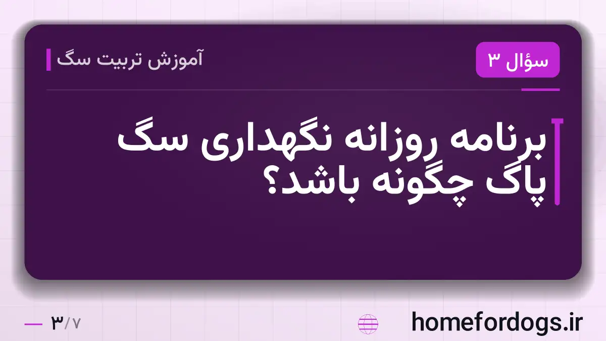 برنامه روزانه نگهداری سگ پاگ چگونه باشد؟