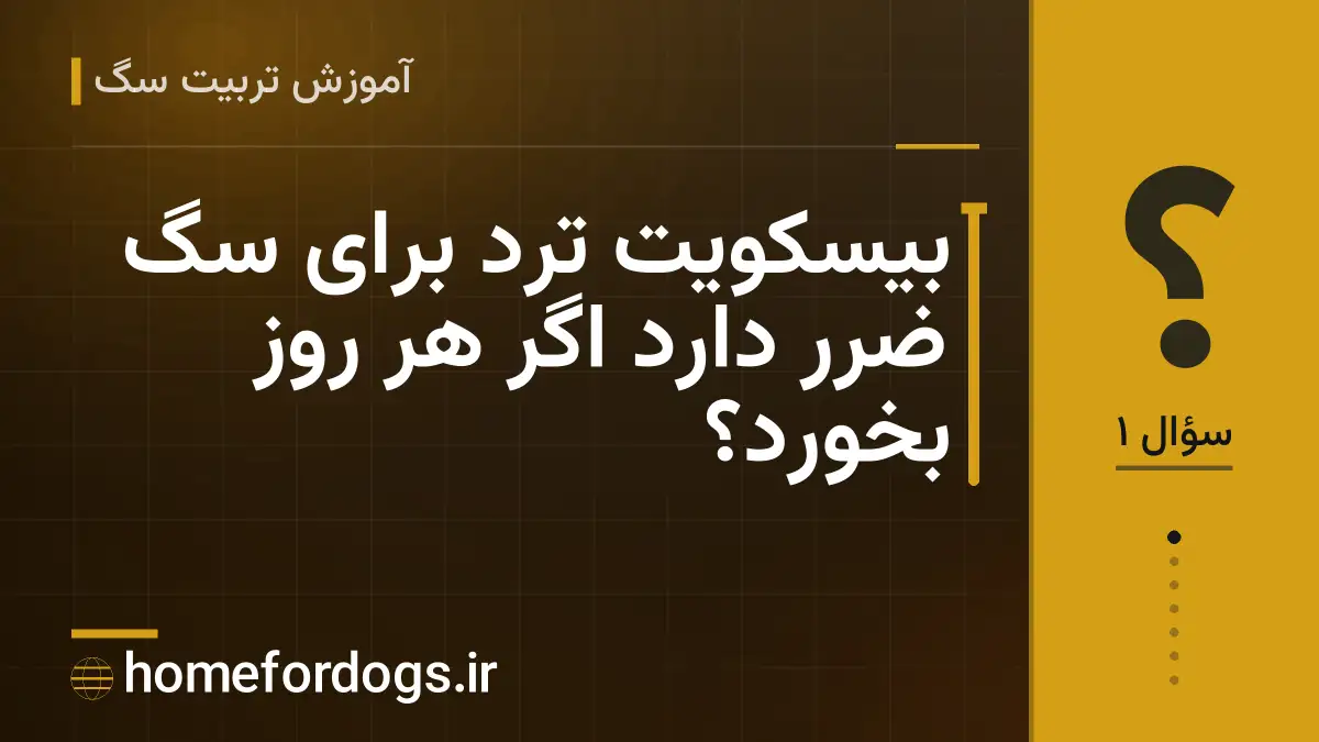 بیسکویت ترد برای سگ ضرر دارد اگر هر روز بخورد؟