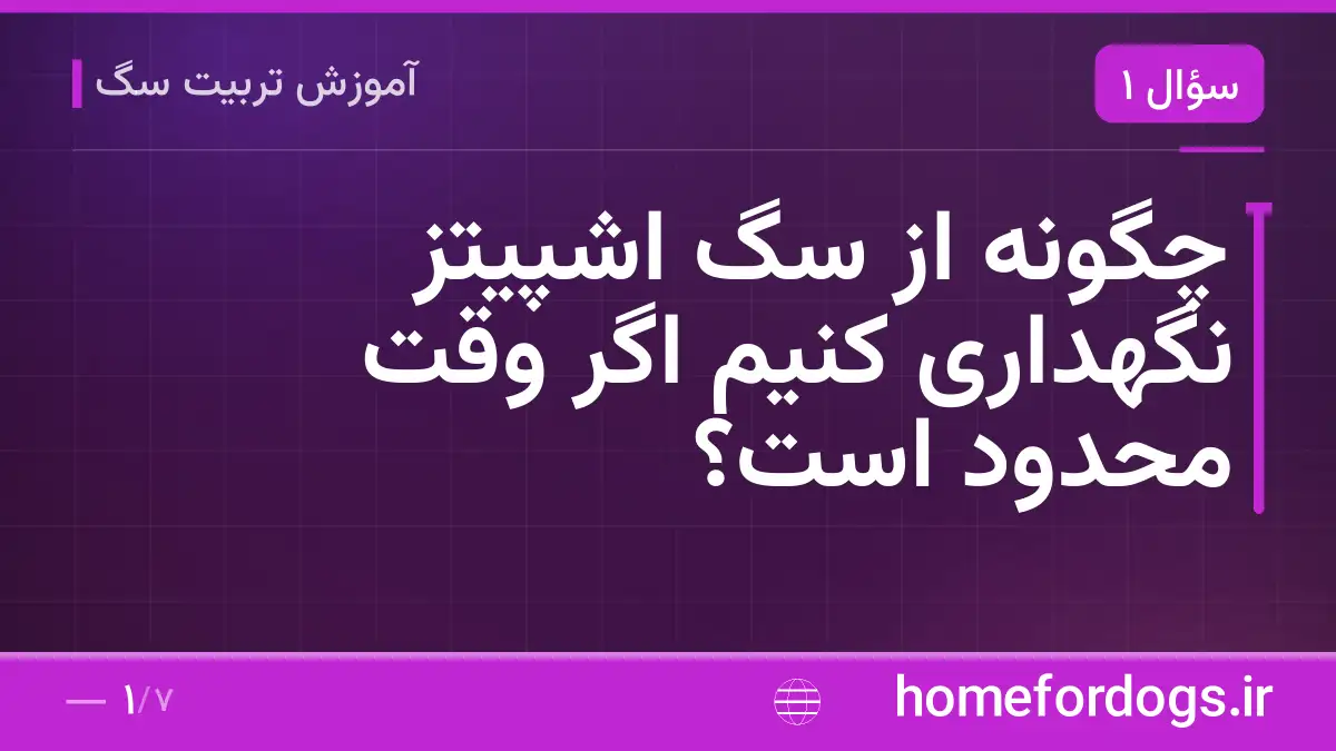 چگونه از سگ اشپیتز نگهداری کنیم اگر وقت محدود است؟
