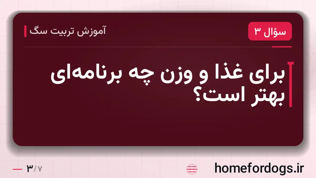 برای غذا و وزن چه برنامهای بهتر است؟