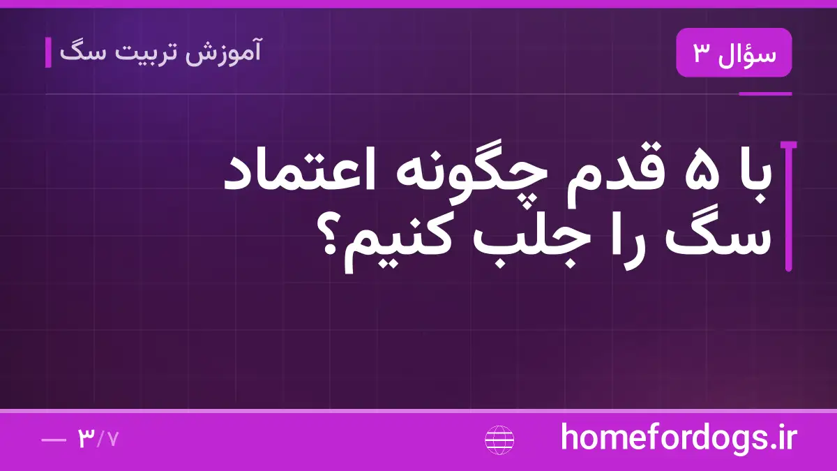 با ۵ قدم چگونه اعتماد سگ را جلب کنیم؟