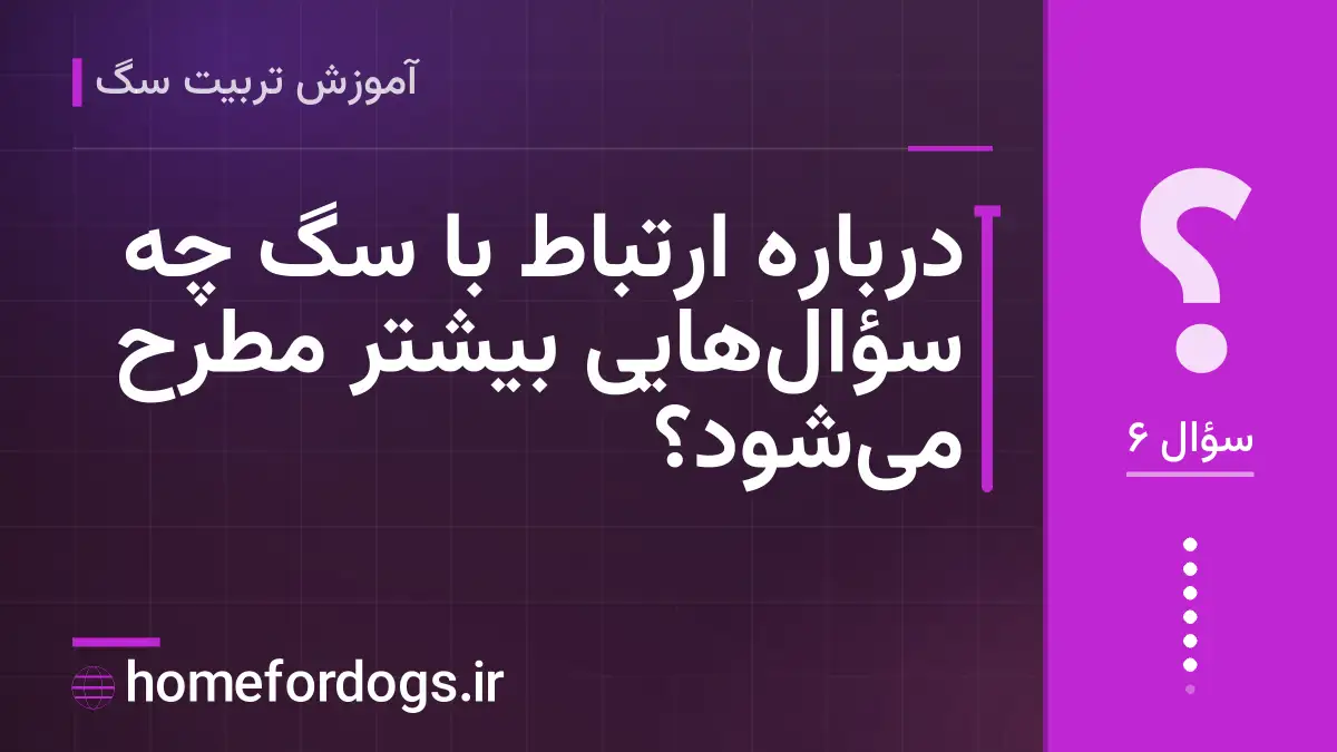 دربارهٔ ارتباط با سگ چه سؤال‌هایی بیشتر مطرح می‌شود؟