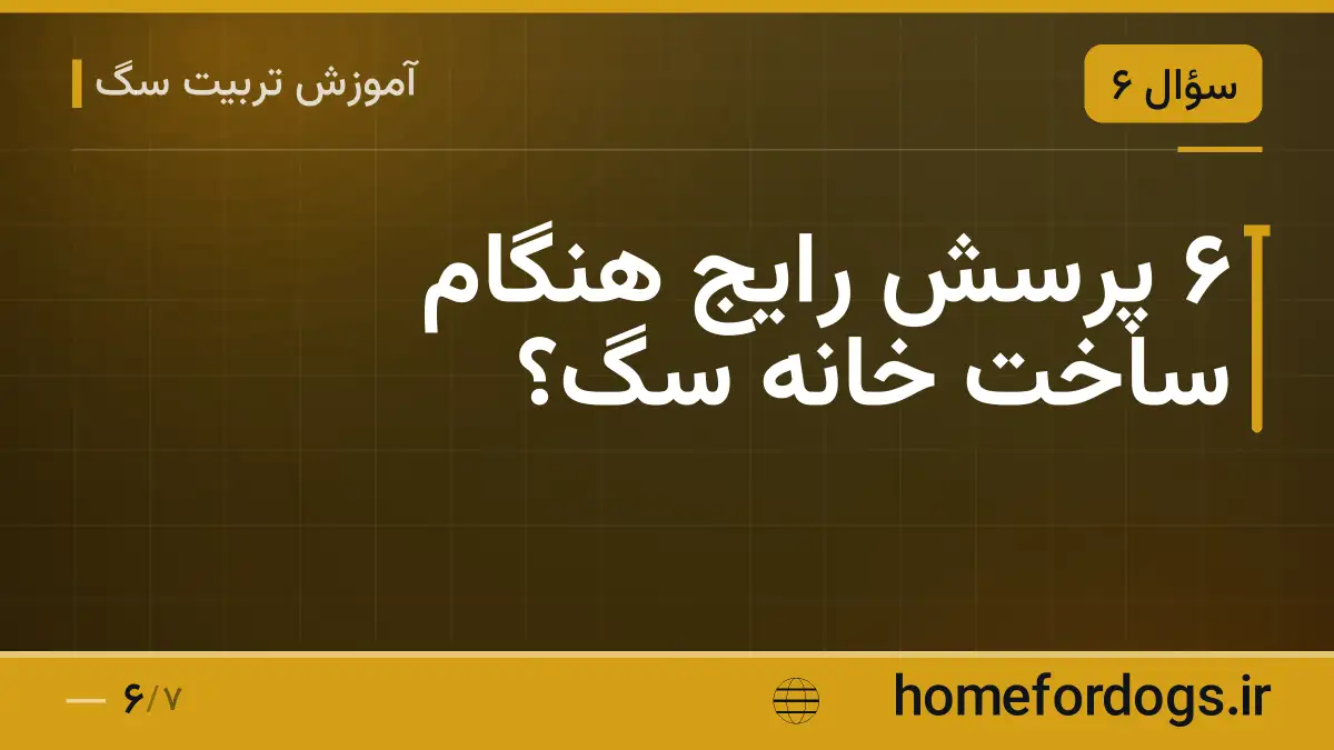۶ پرسش رایج هنگام ساخت خانه سگ؟