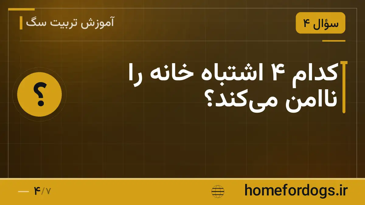 کدام ۴ اشتباه خانه را ناامن می‌کند؟