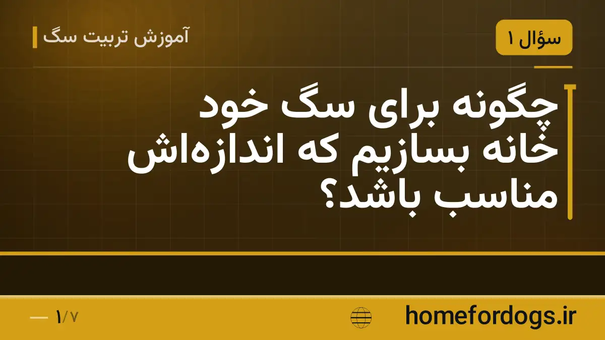 چگونه برای سگ خود خانه بسازیم که اندازه‌اش مناسب باشد؟