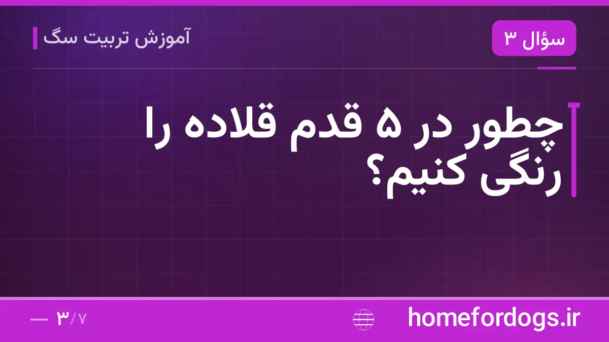 چطور در ۵ قدم قلاده را رنگی کنیم؟