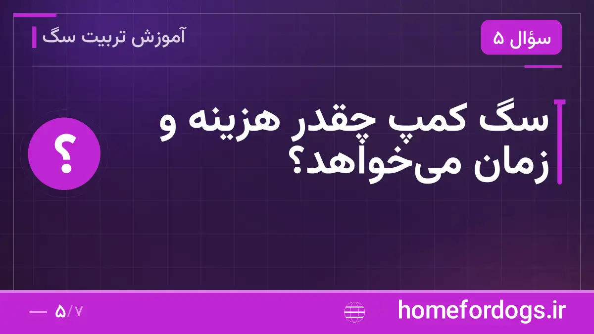 سگ کمپ چقدر هزینه و زمان می‌خواهد؟