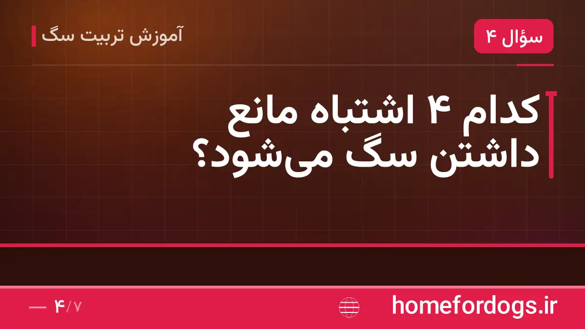 کدام ۴ اشتباه مانع داشتن سگ می‌شود؟