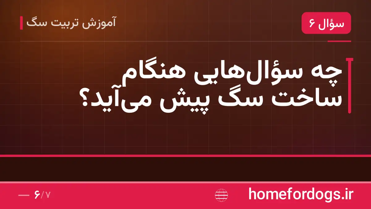 چه سؤال‌هایی هنگام ساخت سگ پیش می‌آید؟