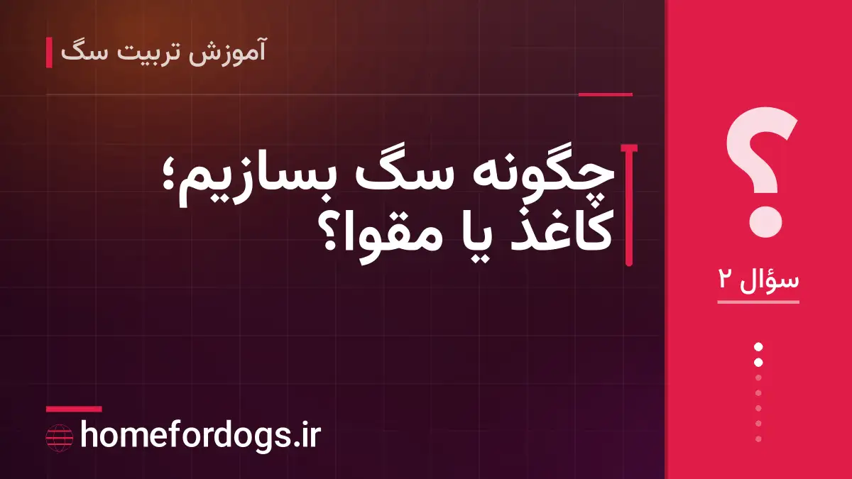 چگونه سگ بسازیم؛ کاغذ یا مقوا؟