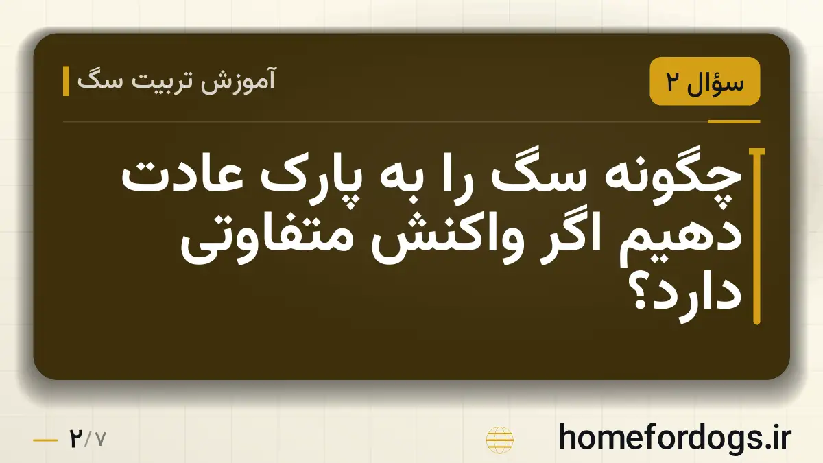 چگونه سگ را به پارک عادت دهیم اگر واکنش متفاوتی دارد؟