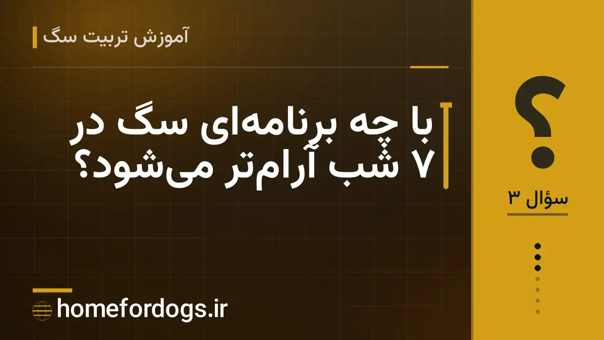 با چه برنامه‌ای سگ در ۷ شب آرام‌تر می‌شود؟