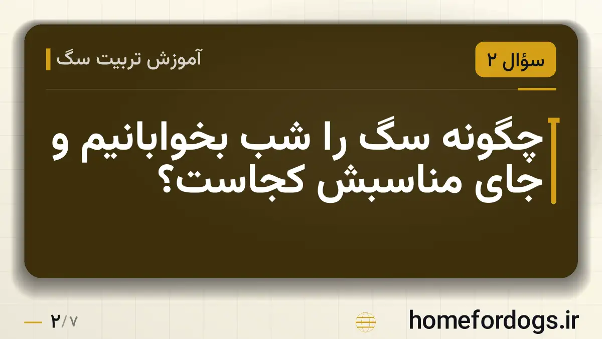 چگونه سگ را شب بخوابانیم و جای مناسبش کجاست؟